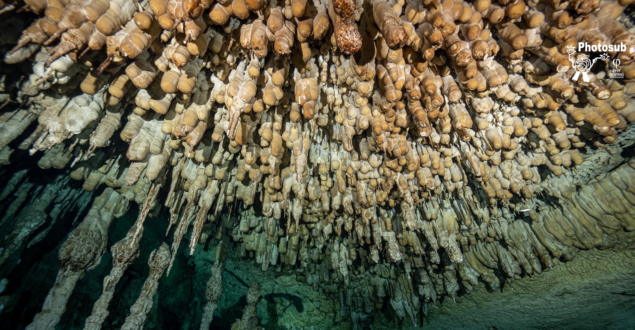 Close-up of hundreds of stalactite and speleothem formations covering a cave ceiling